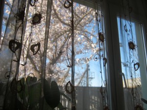 IMG_3953[1].JPG