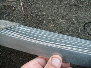 IMG_1624.JPG