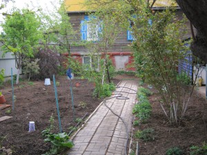 IMG_4028[1].JPG