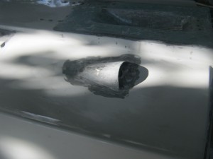 IMG_4091.JPG