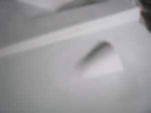 IMG_4098.JPG