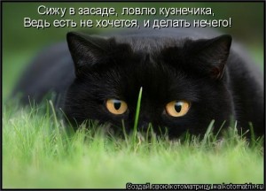 1330960144_kotomatrix_07.jpg