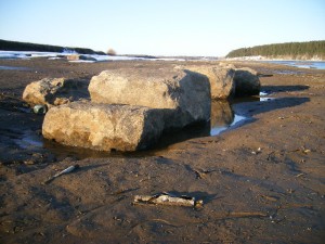 DSCF3417.JPG (120.23 KIB) Просмотров: 6729 DSCF3417.JPG