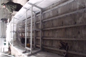 DSCF0154.jpg (48.61 KIB) Просмотров: 9410 DSCF0154.jpg