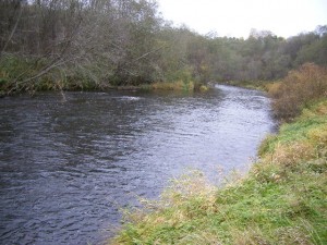 DSCF4480.JPG
