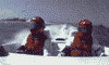 photo-99449.gif