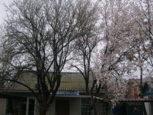IMG_3396.JPG