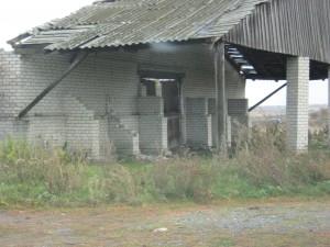 IMG_1343.JPG