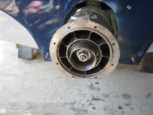 IMG_3686.JPG