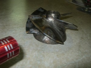 IMG_3903[1].JPG