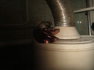 IMG_3915[1].JPG