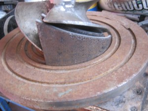 IMG_3877[1].JPG