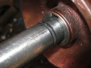 IMG_3918.JPG