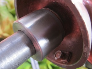 IMG_3926.JPG