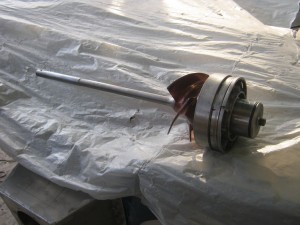 IMG_3936.JPG